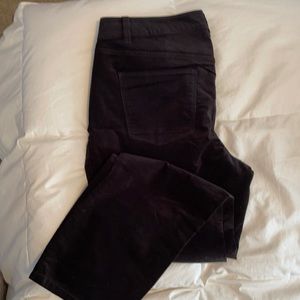 Talbots Heritage Casual Pants